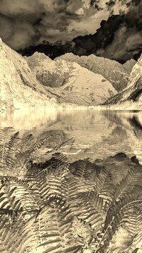 Sepia + Negatyw