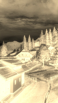 Sepia + Negatyw