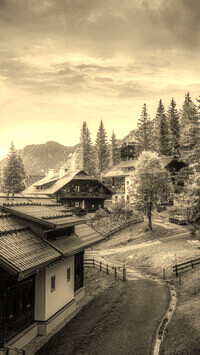 Szary + Sepia