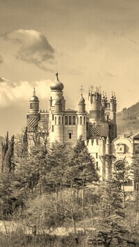 Szary + Sepia