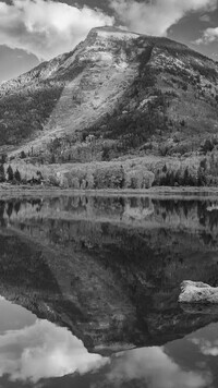 Szary
