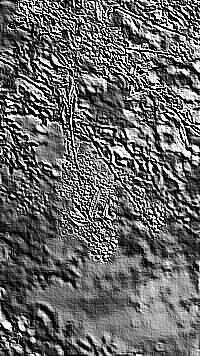Skamielina