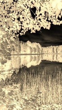 Sepia + Negatyw