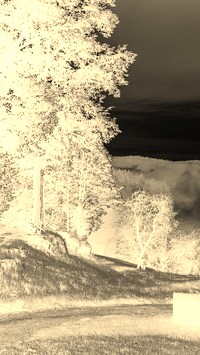 Sepia + Negatyw