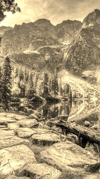 Sepia