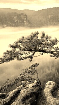 Szary + Sepia