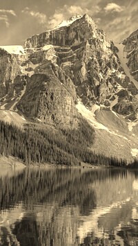 Szary + Sepia