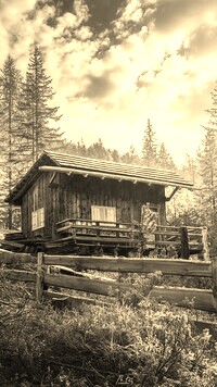 Szary + Sepia