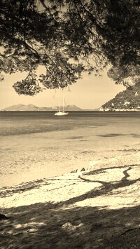 Szary + Sepia