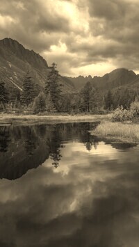 Sepia