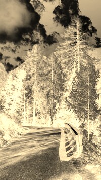 Sepia + Negatyw