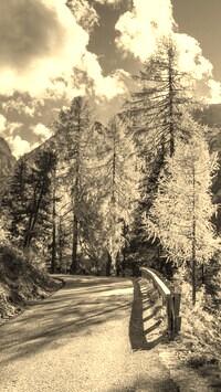 Szary + Sepia