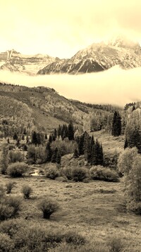 Sepia