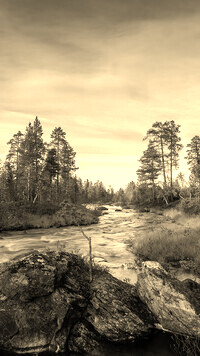 Sepia
