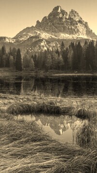 Szary + Sepia