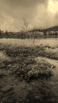 Szary + Sepia