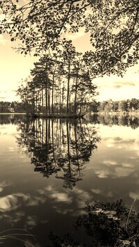 Szary + Sepia