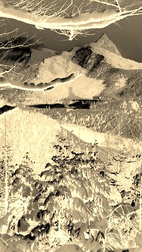 Sepia + Negatyw