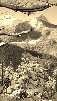 Szary + Sepia