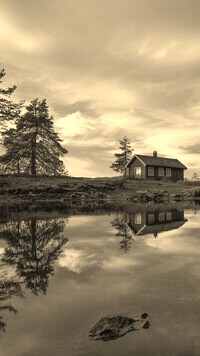 Szary + Sepia
