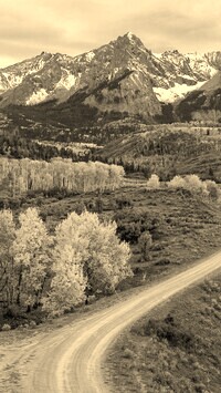 Szary + Sepia