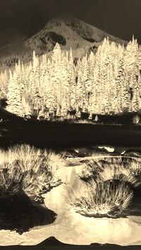 Sepia + Negatyw