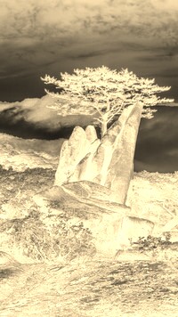 Sepia + Negatyw