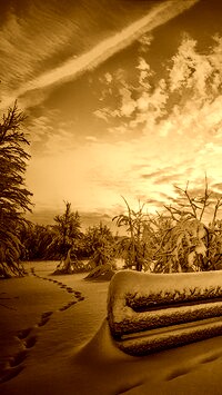 Sepia
