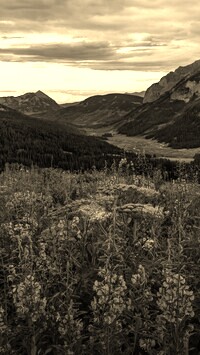 Szary + Sepia