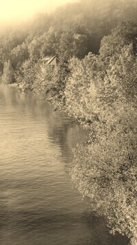 Szary + Sepia