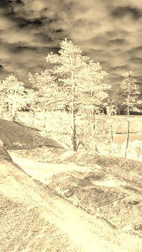 Sepia + Negatyw