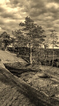 Sepia