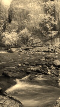 Sepia