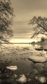 Szary + Sepia