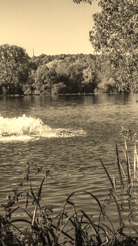 Sepia