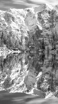 Szary