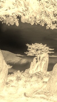 Sepia + Negatyw