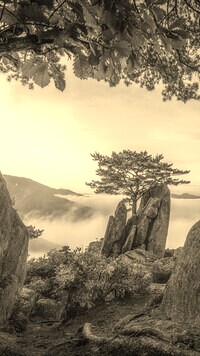Sepia