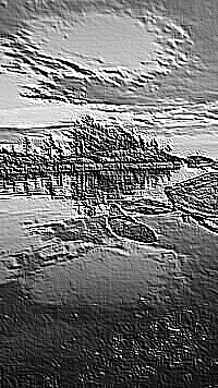 Skamielina