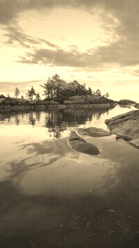 Szary + Sepia