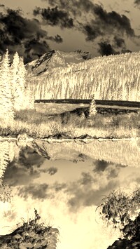 Sepia + Negatyw