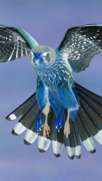 Negatyw