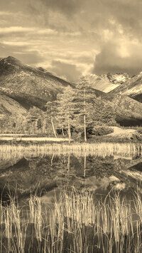 Sepia