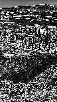 Skamielina