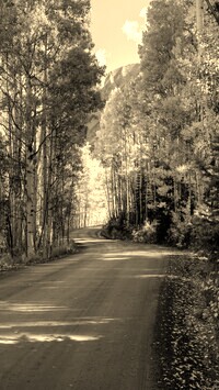 Szary + Sepia