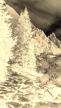 Sepia + Negatyw