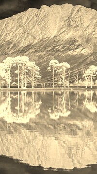 Sepia + Negatyw