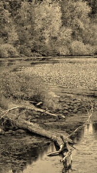Szary + Sepia