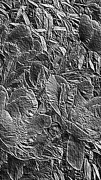 Skamielina