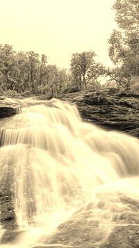 Sepia